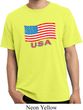 Distressed USA Flag Pigment Dyed Shirt