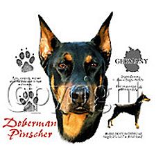Doberman Pinscher T-shirts