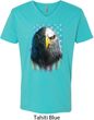 Eagle Stare Mens V-Neck Shirt