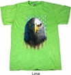 Eagle Stare Mineral Tie Dye Shirt