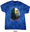 Eagle Stare Mineral Tie Dye Shirt