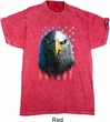 Eagle Stare Mineral Tie Dye Shirt