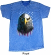 Eagle Stare Mineral Tie Dye Shirt