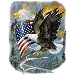 Eagle T-shirt - American Pride Patriotic Adult Tee