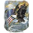 Eagle T-shirt - American Pride Patriotic Adult Tee