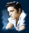 Elvis Juniors T-shirt - Blue Profile Navy Tee