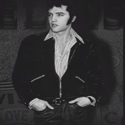 Elvis Presley Just Cool Shirts