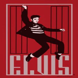 Elvis Presley One Jailhouse Shirts