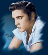 Elvis T-shirt - Blue Profile 50s Classic Rock - Navy
