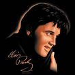 Elvis T-shirt - Classic Rock King Warm Portrait - Black