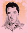 Elvis T-shirt - Matinee Idol Classic - Pink