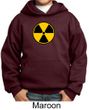 Fallout Hoodie Radioactive Radiation Symbol Youth Hoody