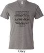 First Amendment Mens Tri Blend V-neck Shirt
