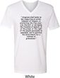 First Amendment Mens V-Neck Shirt