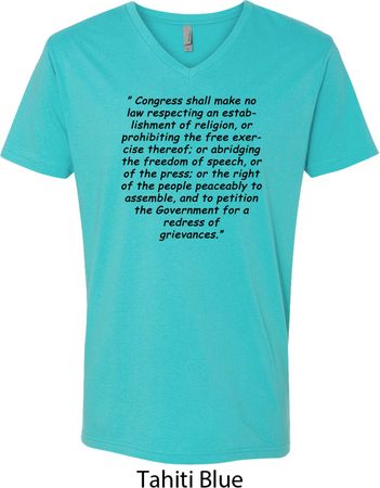 First Amendment Mens V-Neck Shirt
