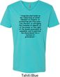 First Amendment Mens V-Neck Shirt