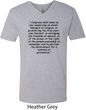 First Amendment Mens V-Neck Shirt