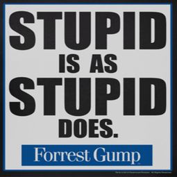 Forrest Gump Stupid Is As Stupid Does Shirts