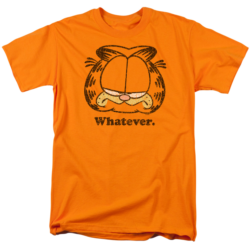 Garfield 'Whatever' Baby T-Shirt - Super Soft 4T Toddler Shirt With Funny Cat Design