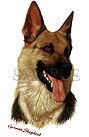 German Shepherd T-shirts