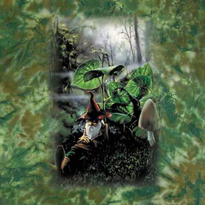 Gnome Shirt Sleeping Gnome Mystical New Age Tie Dye Green Tee
