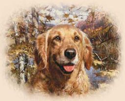 Golden Retrievers T-shirts