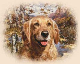 Golden Retrievers T-shirts