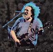 Grateful Dead T-shirt Jerry Garcia Birdsong Tie Dye Tee