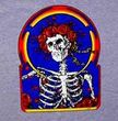 Grateful Dead T-shirt Skull and Roses Classic Tee Shirt