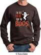 Halloween I'm Here for the Boos Sweatshirt