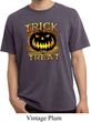 Halloween Trick or Treat Pigment Dyed Shirt