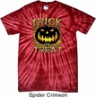 Halloween Trick or Treat Spider Tie Dye Shirt