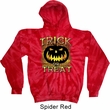 Halloween Trick or Treat Tie Dye Hoodie