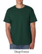 Hanes Beefy T-Shirt Adult Tee Shirt