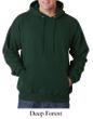 Hanes Hoodie Sweatshirt ComfortBlend EcoSmart Hoody Sweat Shirt