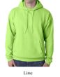 Hanes Hoodie Sweatshirt ComfortBlend EcoSmart Hoody Sweat Shirt