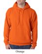 Hanes Hoodie Sweatshirt ComfortBlend EcoSmart Hoody Sweat Shirt