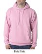 Hanes Hoodie Sweatshirt ComfortBlend EcoSmart Hoody Sweat Shirt