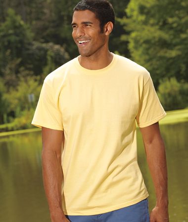 Hanes Shirt Tagless Soft Cotton Tee T-shirt