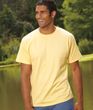 Hanes Shirt Tagless Soft Cotton Tee T-shirt