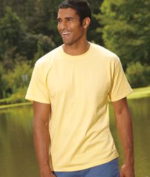 Hanes Shirt Tagless Soft Cotton Tee T-shirt