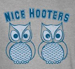 Hooters Shirt - Nice Hooters Adult Heather Grey Tee
