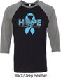 Hope Prostate Cancer Mens Raglan Shirt