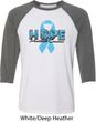 Hope Prostate Cancer Mens Raglan Shirt