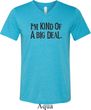 I'm Kind Of A Big Deal Black Print Mens Tri Blend V-neck Shirt