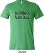 I'm Kind Of A Big Deal Black Print Mens Tri Blend V-neck Shirt