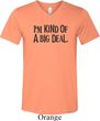 I'm Kind Of A Big Deal Black Print Mens Tri Blend V-neck Shirt