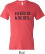 I'm Kind Of A Big Deal Black Print Mens Tri Blend V-neck Shirt
