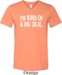 I'm Kind Of A Big Deal White Print Mens Tri Blend V-neck Shirt