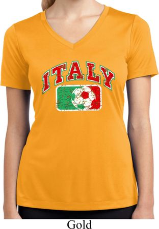 Italy Ladies Moisture Wicking V-neck Shirt